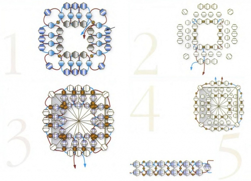 Пошаговая схема плетения кольца из бисера