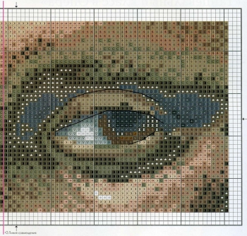 Схема глаз