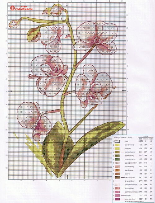 Схема вышивки орхидеи с ключом 