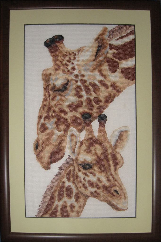 вышивка жирафов