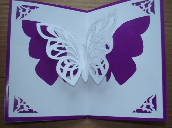 открытка бабочка