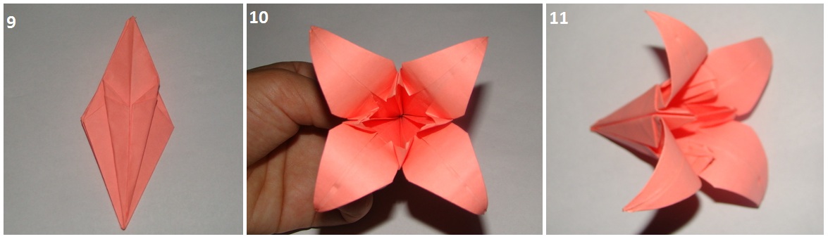 Как делать цветы из крепированной бумаги своими руками - подборка видео уроков