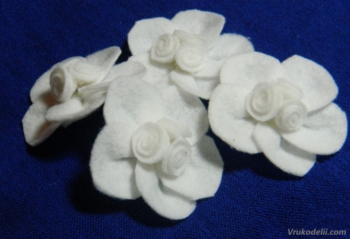 белые цветы