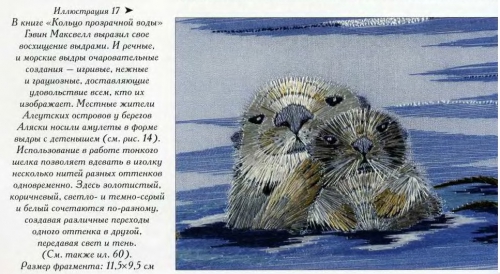 тюлени