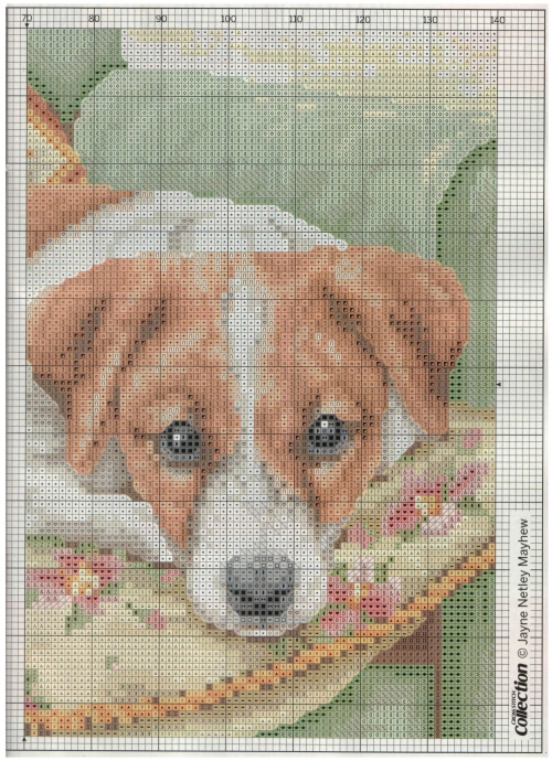 шикарная красивая сложная схема для вышивки крестом, собака, собачка, рассел-терьер , картина, вышивка крестиком