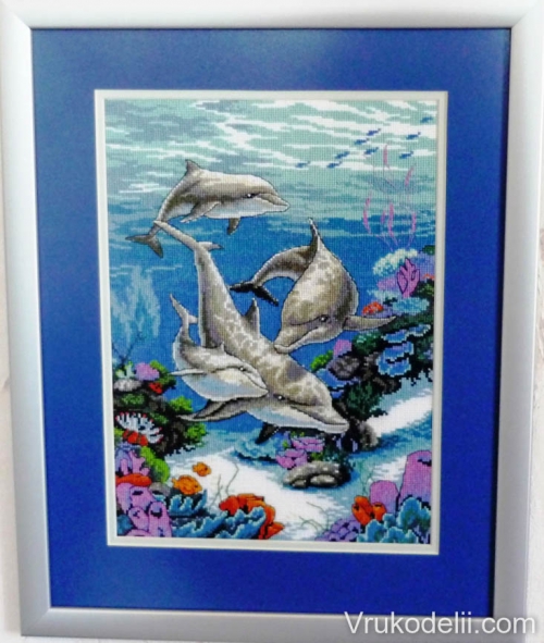 картина дельфины