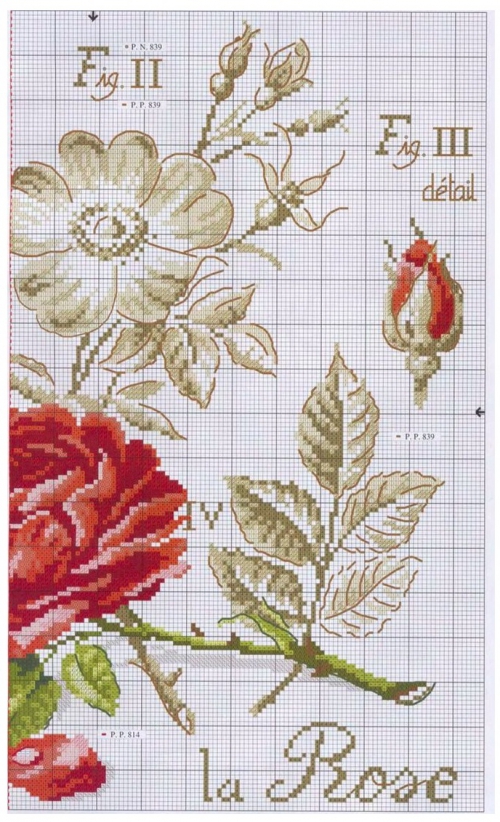 вышивка кресто розы из серии ботаника, простая схема для вышивки крестом, картина, красная роза
