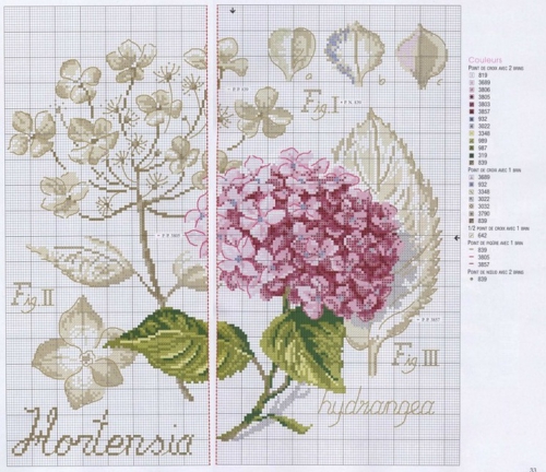 гортензия, цветы, цветок вышивка крестом, простая удобная цветная схема для вышивки крестом, вышивка из серии Ботаника, картина, вышивка для подушек