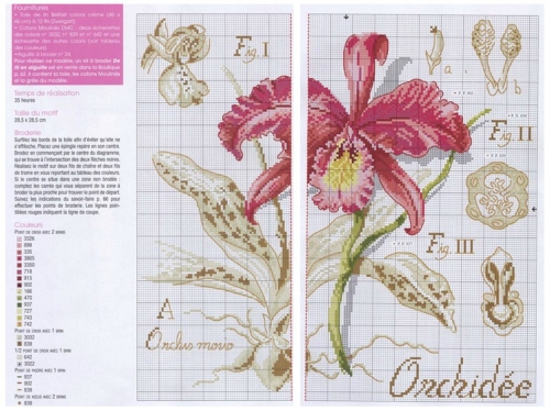 картина вышивка крестом, простая и удобная схема для вышивки крестом, орхидея из серии ботаника, серия вышитых картина Ботаника, цветы