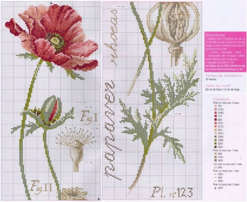 цветы, мак, вышивка крестом, скачать бесплатно простые и удобные цветные схемы для вышивки крестом, мак из серии ботаника
