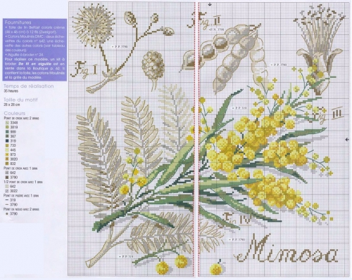 ветка мимозы, мимоза из вышитой серии Ботаника, простая и удобная цветная схема вышивки, цветовой ключ, картина вышивка крестом